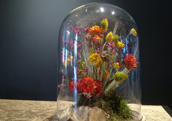 Montage van gedroogde bloemen onder glazen koepel