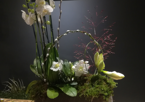 Bloemencompositie met amaryllis en orchidee
