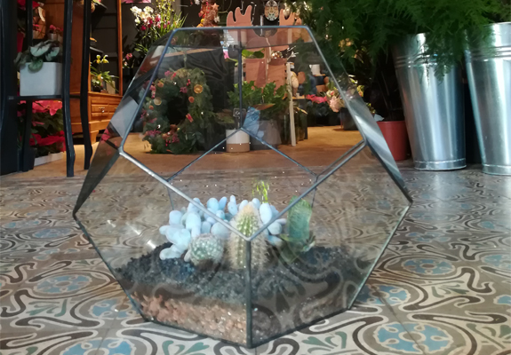 Kroonluchter achter terrarium van cactus, aloë en vetplant