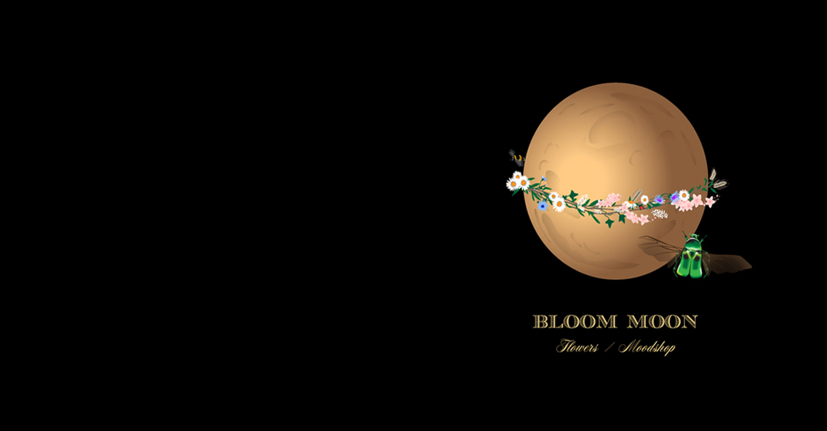 Bloommoon bloemen shop en atelier